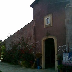 Agrib&B Lemontree Garde'N